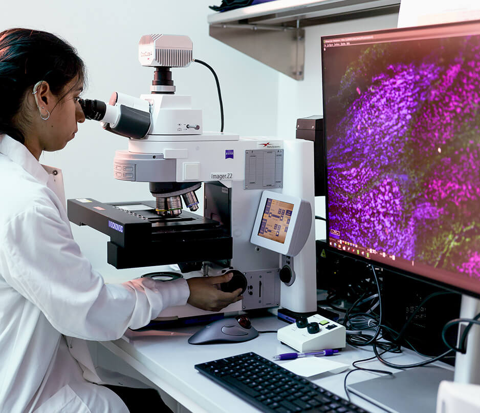 A scientist adjusts the magification on a microscope